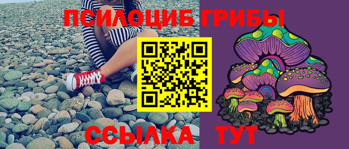 Апрелевка  Псилоцибиновые грибы MAGIC MUSHROOMS  как найти закладки  Вход с VPN  Псилоцибиновые грибы Cubensis 